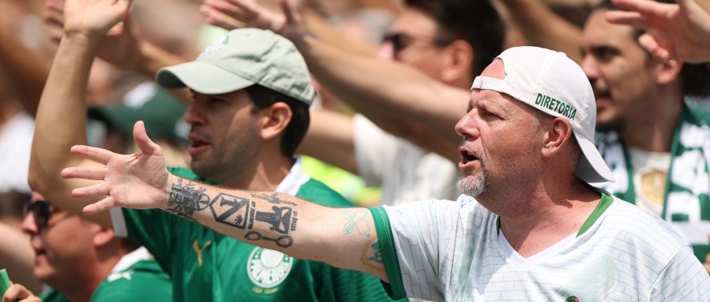 Palmeiras y Botafogo se dedicaron a calentar el juego en los primeros minutos