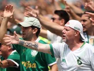 Palmeiras y Botafogo se dedicaron a calentar el juego en los primeros minutos
