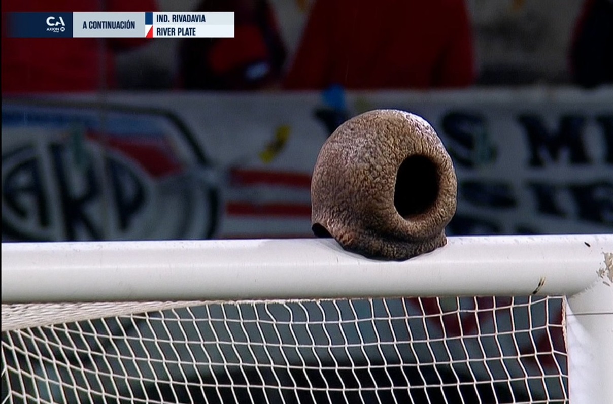 Un nido de hornero, protagonista en River - Independiente Rivadavia