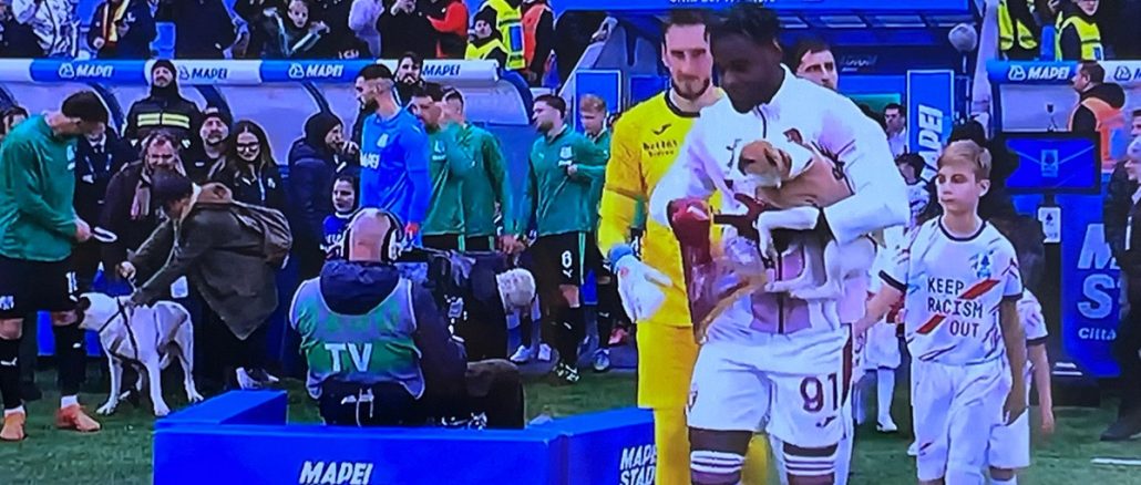 Fue una campaña de adopción en Reggio Emilia. Sassuolo y Torino salieron con perros al campo de juego por Serie A