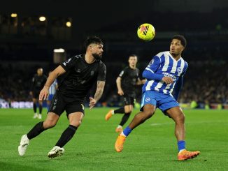 Fue 0 a 0 en Sussex del Este entre las Gaviotas y los Black Cats. Brighton no pudo con Sunderland antes de recibir al Arsenal