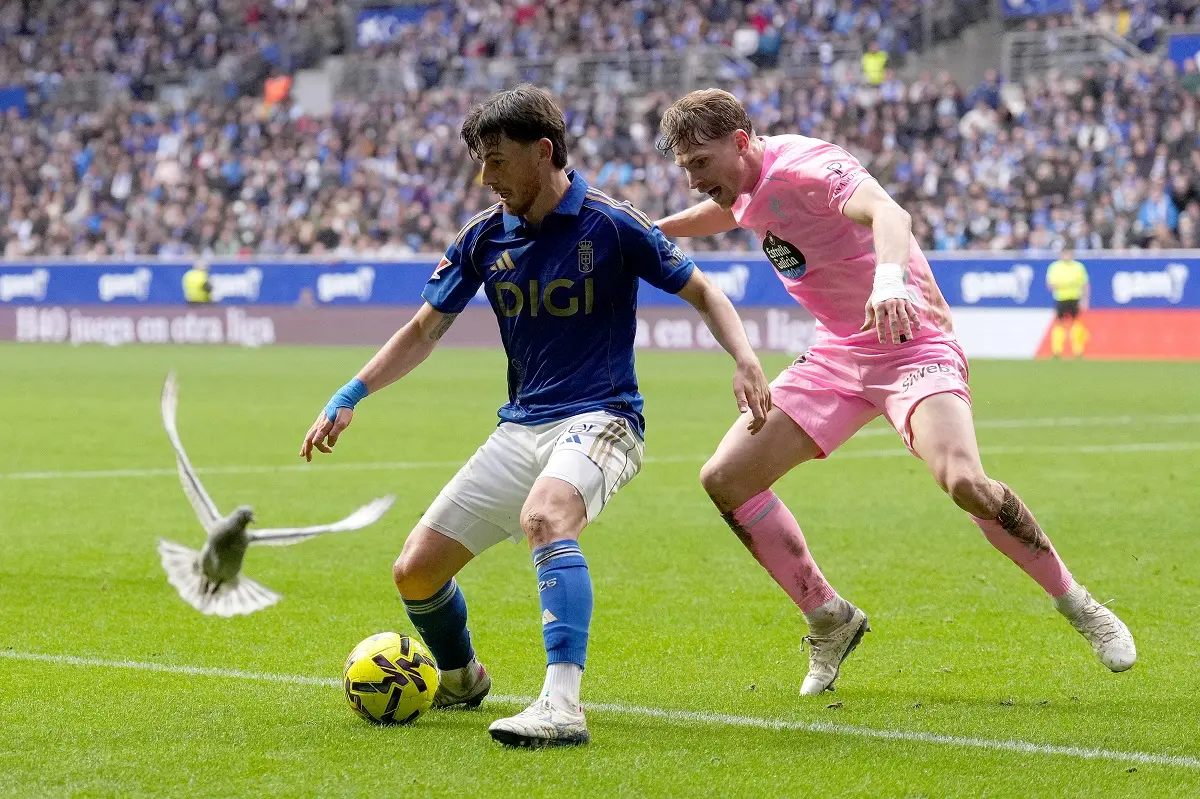 La imagen viral de La Liga: las palomas, protagonistas en Real Oviedo 0 – Celta 0