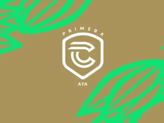 El formato de disputa de la temporada 2026 de la Primera C, según el Reglamento Oficial