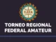 Bombazo: ¿habrá otro ascenso en el Torneo Regional Amateur?