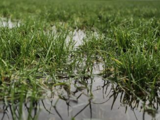 Dos partidos suspendidos por lluvia en la Primera C