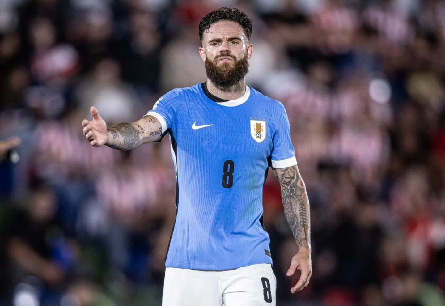 Nandez quedó fuera del Mundial