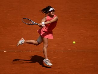 La tenista turca dijo adiós pero no por voluntad propia. Zeynep Sonmez tuvo que abandonar Roland Garros por tropezar con una publicidad