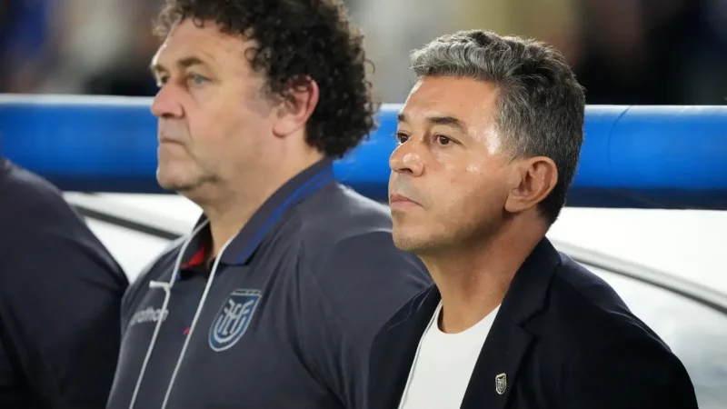 Marcelo Gallardo y la derrota de Ecuador ante Japón: “Hubo mejoras considerables”